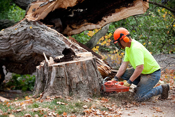 Best Firewood Processing and Delivery  in Crestview, FL